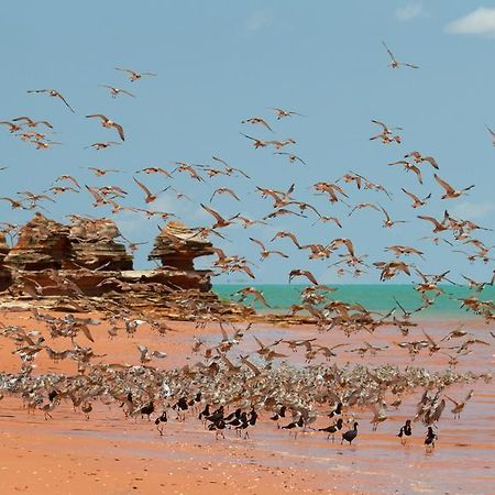 Broome Bird Observatory Luaran gambar
